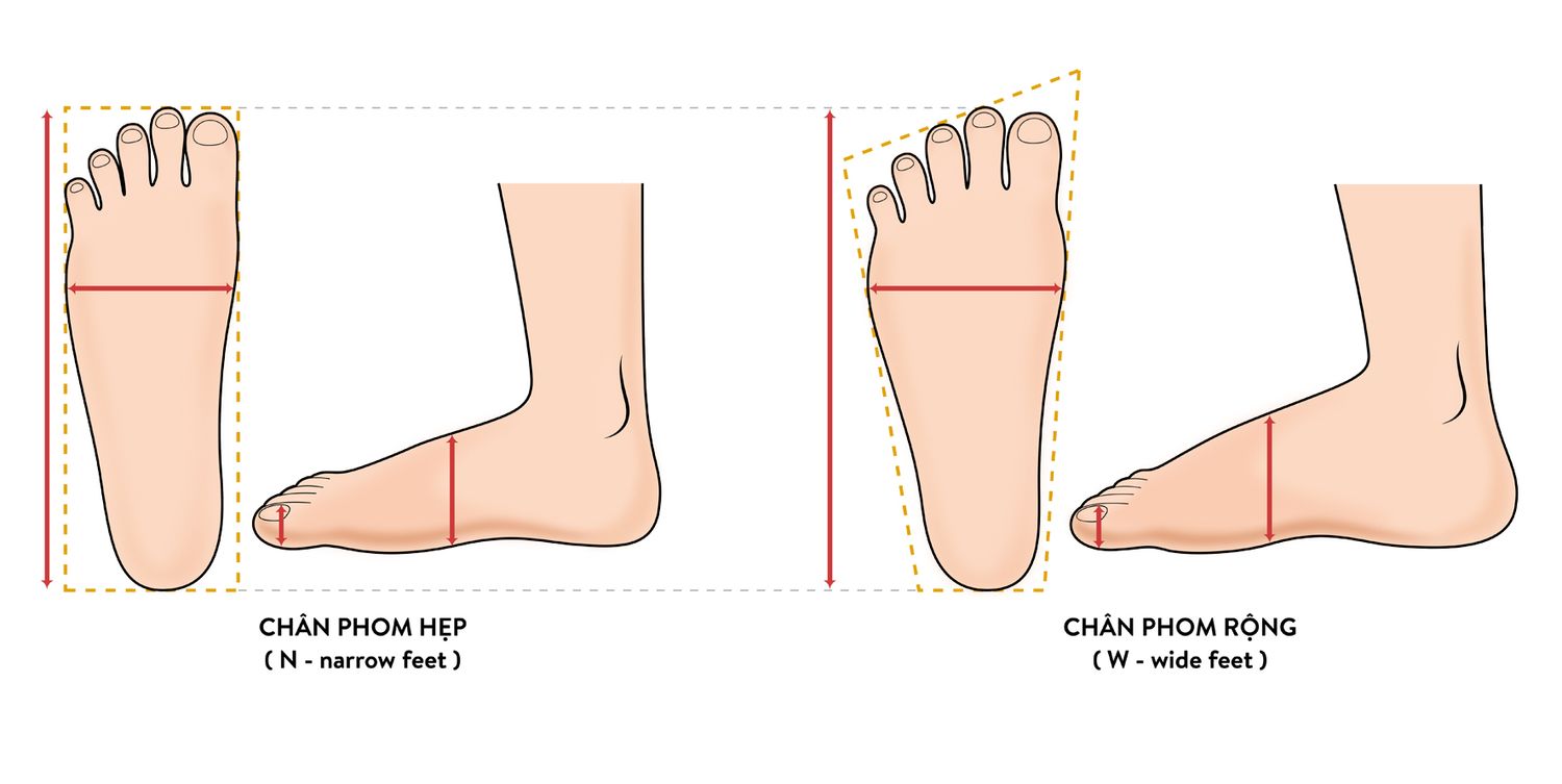 Khám phá [TƯ VẤN] Chân 25cm đi giày size bao nhiêu là chuẩn?
